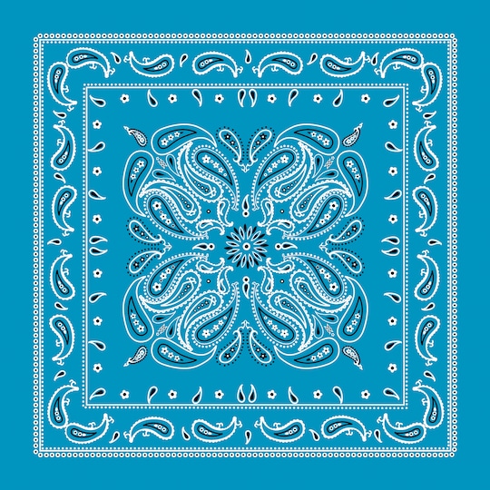 Paisley Bandana by Make Market®